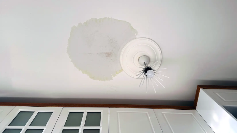 Water Leaking from Ceiling? Here&rsquo;s What To Do + Who To Call